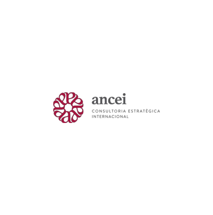 Ancei logo